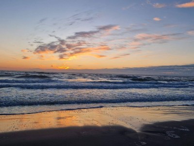 Holiday house Luxury Beach House in Blokhus - By Traum Ferienwohnungen - Outdoor photo 19