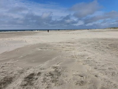 Holiday house Luxury Beach House in Blokhus - By Traum Ferienwohnungen - Outdoor photo 24