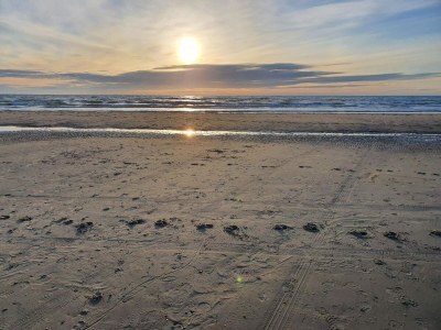 Holiday house Luxury Beach House in Blokhus - By Traum Ferienwohnungen - Outdoor photo 27
