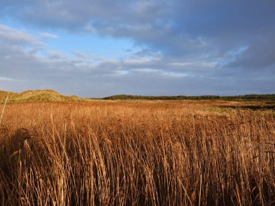Holiday house Luxury Beach House in Blokhus - By Traum Ferienwohnungen - Outdoor photo 34