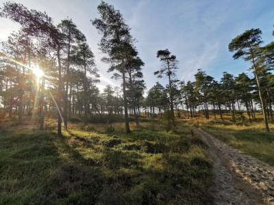 Apartment 6 Personen Ferienhaus in Rømø-By Traum - Outdoor photo 21