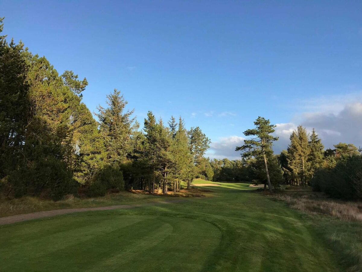 Holiday house Strandflucht in der Ho-Bucht -- By Traum Ferienwohnungen - Outdoor photo 5