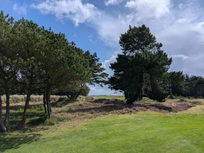 Holiday house Strandflucht in der Ho-Bucht -- By Traum Ferienwohnungen - Outdoor photo 10