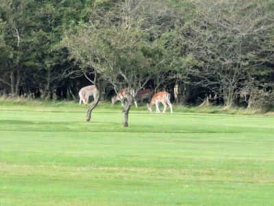 Holiday house Strandflucht in der Ho-Bucht -- By Traum Ferienwohnungen - Outdoor photo 17