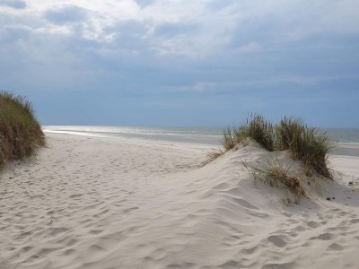 Holiday house Strandflucht in der Ho-Bucht -- By Traum Ferienwohnungen - Outdoor photo 19