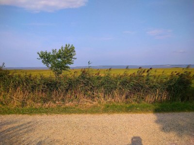 Holiday house Strandflucht in der Ho-Bucht -- By Traum Ferienwohnungen - Outdoor photo 22