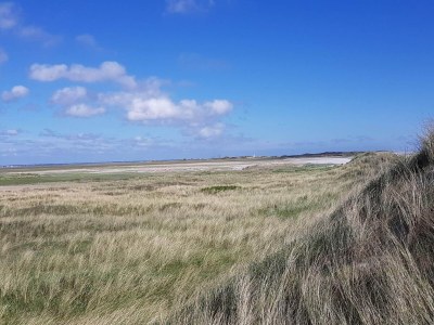 Holiday house Strandflucht in der Ho-Bucht -- By Traum Ferienwohnungen - Outdoor photo 31