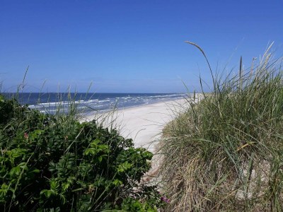 Holiday house Strandflucht in der Ho-Bucht -- By Traum Ferienwohnungen - Outdoor photo 34