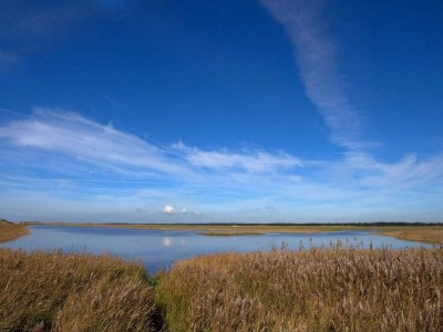 Holiday house Strandflucht in der Ho-Bucht -- By Traum Ferienwohnungen - Outdoor photo 35