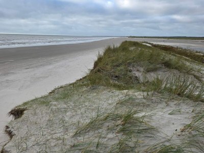 Holiday house Strandflucht in der Ho-Bucht -- By Traum Ferienwohnungen - Outdoor photo 41