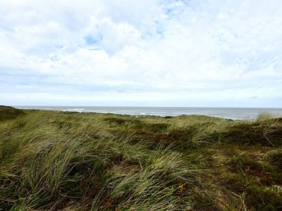 Holiday house Secluded Retreat near Beach - By Traum Ferienwohnungen - Outdoor photo 5