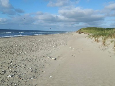 Holiday house Secluded Retreat near Beach - By Traum Ferienwohnungen - Outdoor photo 6