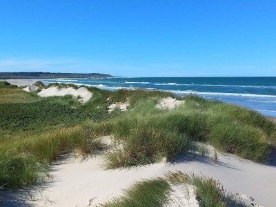 Holiday house Secluded Retreat near Beach - By Traum Ferienwohnungen - Outdoor photo 16