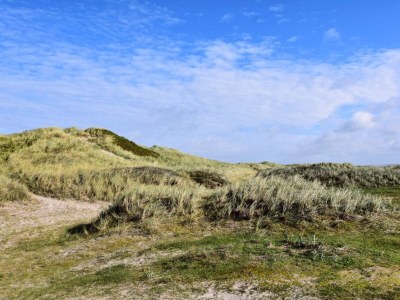 Holiday house Secluded Retreat near Beach - By Traum Ferienwohnungen - Outdoor photo 33