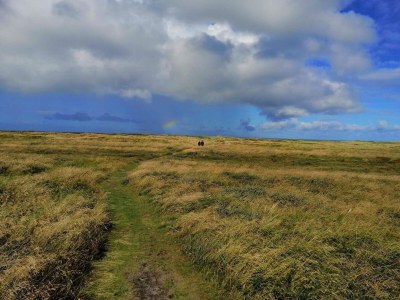 Holiday house Secluded Retreat near Beach - By Traum Ferienwohnungen - Outdoor photo 34
