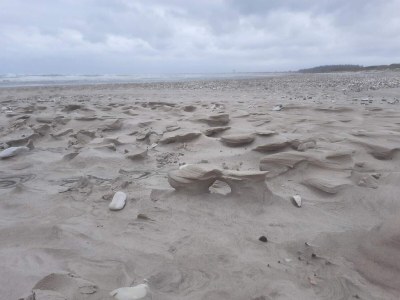 Holiday house Secluded Retreat near Beach - By Traum Ferienwohnungen - Outdoor photo 35