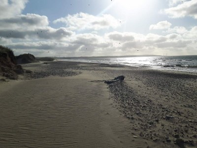 Holiday house Secluded Retreat near Beach - By Traum Ferienwohnungen - Outdoor photo 38