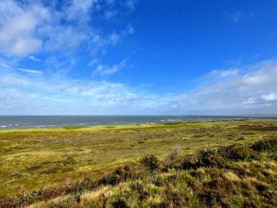 Holiday house Secluded Retreat near Beach - By Traum Ferienwohnungen - Outdoor photo 40