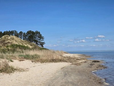 Holiday house Seaside holiday home with Ocean View - Outdoor photo 28