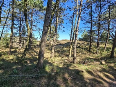 Holiday house Seaside holiday home with Ocean View - Outdoor photo 37