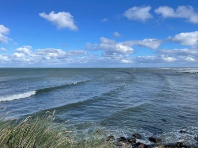 Holiday house Abgeschiedenes Refugium am Meer -- By Traum Ferienwohnungen - Outdoor photo 26