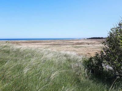 Holiday house Abgeschiedenes Refugium am Meer -- By Traum Ferienwohnungen - Outdoor photo 32