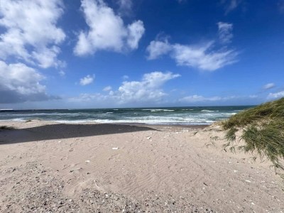 Holiday house Abgeschiedenes Refugium am Meer -- By Traum Ferienwohnungen - Outdoor photo 36