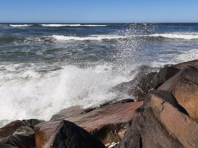 Holiday house Abgeschiedenes Refugium am Meer -- By Traum Ferienwohnungen - Outdoor photo 41