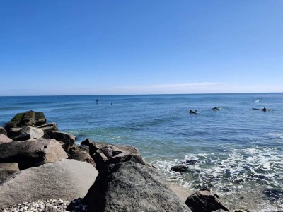 Holiday house Abgeschiedenes Refugium am Meer -- By Traum Ferienwohnungen - Outdoor photo 44