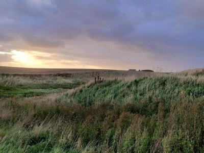 Holiday house 4 person holiday home in Lemvig-By Traum - Outdoor photo 24