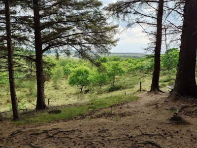 Holiday house 8 person holiday home in Brovst-By Traum - Outdoor photo 9