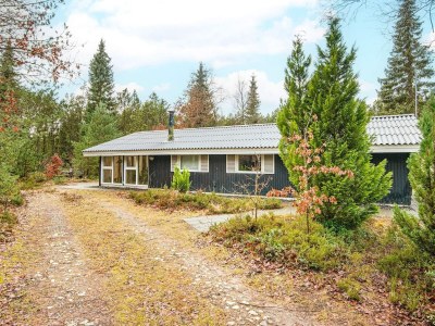 Holiday house 5 Personen Ferienhaus in Herning-By Traum - Outdoor photo 7