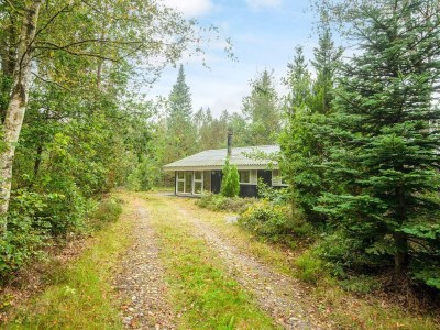 Holiday house 5 Personen Ferienhaus in Herning-By Traum - Outdoor photo 19