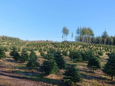 Holiday house 8 Personen Ferienhaus in Skals-By Traum - Outdoor photo 32