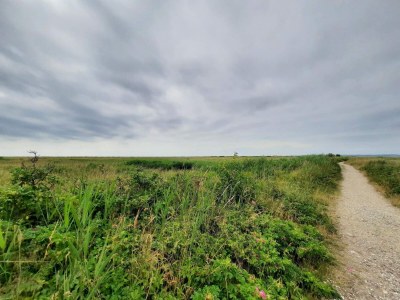 Holiday house 14 Personen Ferienhaus in Ebeltoft - Outdoor photo 8