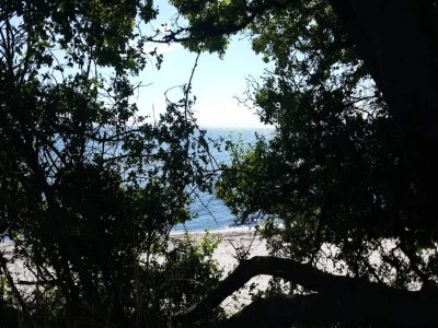 Holiday house Luxus-Ruckzug mit Spa -- By Traum Ferienwohnungen - Outdoor photo 40