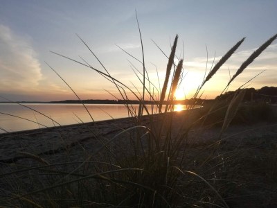 Holiday house 8 person holiday home in Haderslev-By Traum - Outdoor photo 21