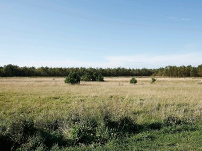 Holiday house Luxus-Ruckzug in Bratten -- By Traum Ferienwohnungen - Outdoor photo 21