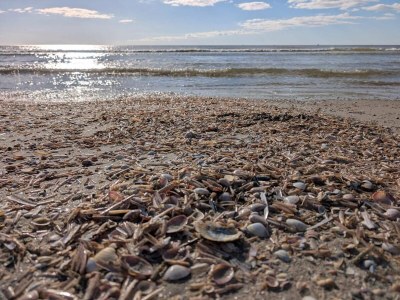 Apartment 6 Personen Ferienhaus in Fanø-By Traum - Outdoor photo 37