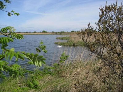 Holiday house 7 Personen Ferienhaus in Stege-By Traum - Outdoor photo 12