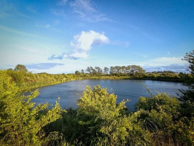 Holiday house 7 Personen Ferienhaus in Stege-By Traum - Outdoor photo 13