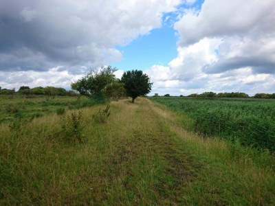 Holiday house 7 Personen Ferienhaus in Stege-By Traum - Outdoor photo 25