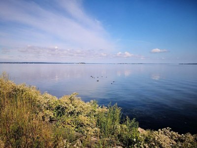 Holiday house 7 Personen Ferienhaus in Stege-By Traum - Outdoor photo 26