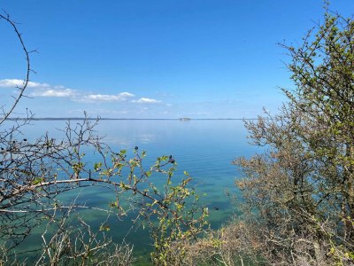 Holiday house 7 Personen Ferienhaus in Stege-By Traum - Outdoor photo 29