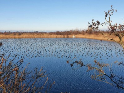 Holiday house 7 Personen Ferienhaus in Stege-By Traum - Outdoor photo 35