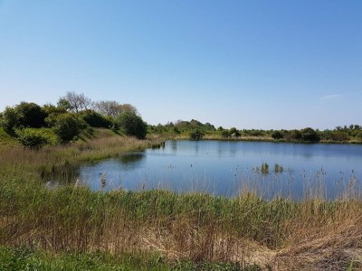 Holiday house 7 Personen Ferienhaus in Stege-By Traum - Outdoor photo 36