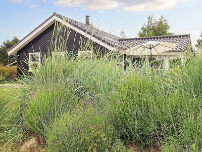 Holiday house 6 person holiday home in Væggerløse-By Traum - Outdoor photo 18