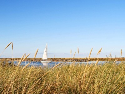 Holiday house 8 Personen Ferienhaus in Wendtorf - Outdoor photo 28