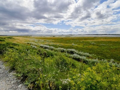 Holiday house 8 person holiday home in Otterup-By Traum - Outdoor photo 22