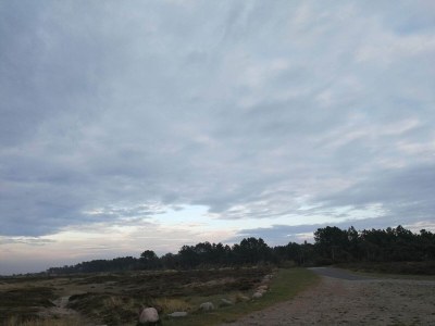 Holiday house 6 Personen Ferienhaus in Læsø-By Traum - Outdoor photo 10